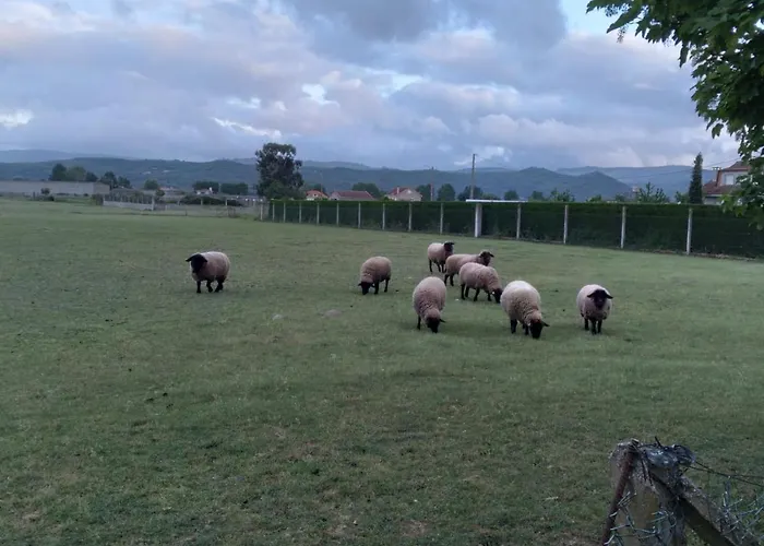 Atico Rosita En Camino De Santiago