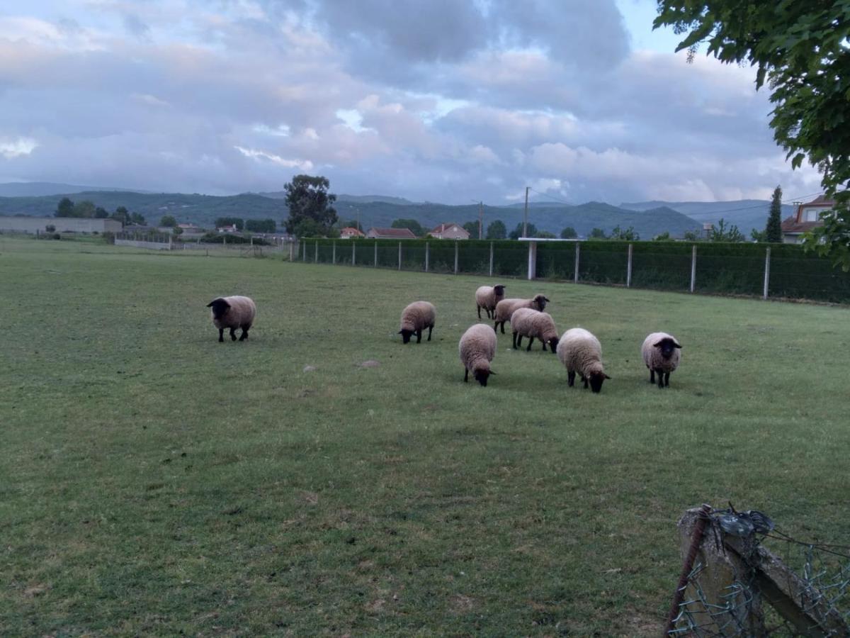 Atico Rosita En Camino De Santiago